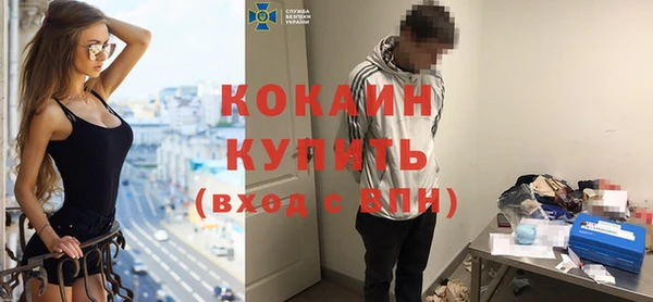 шишки Михайлов