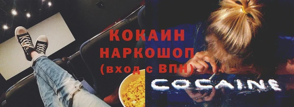 шишки Михайлов