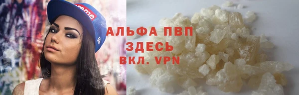 шишки Михайлов