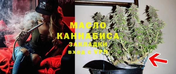 шишки Михайлов