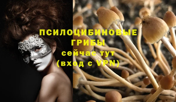 шишки Михайлов