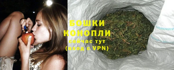 шишки Михайлов